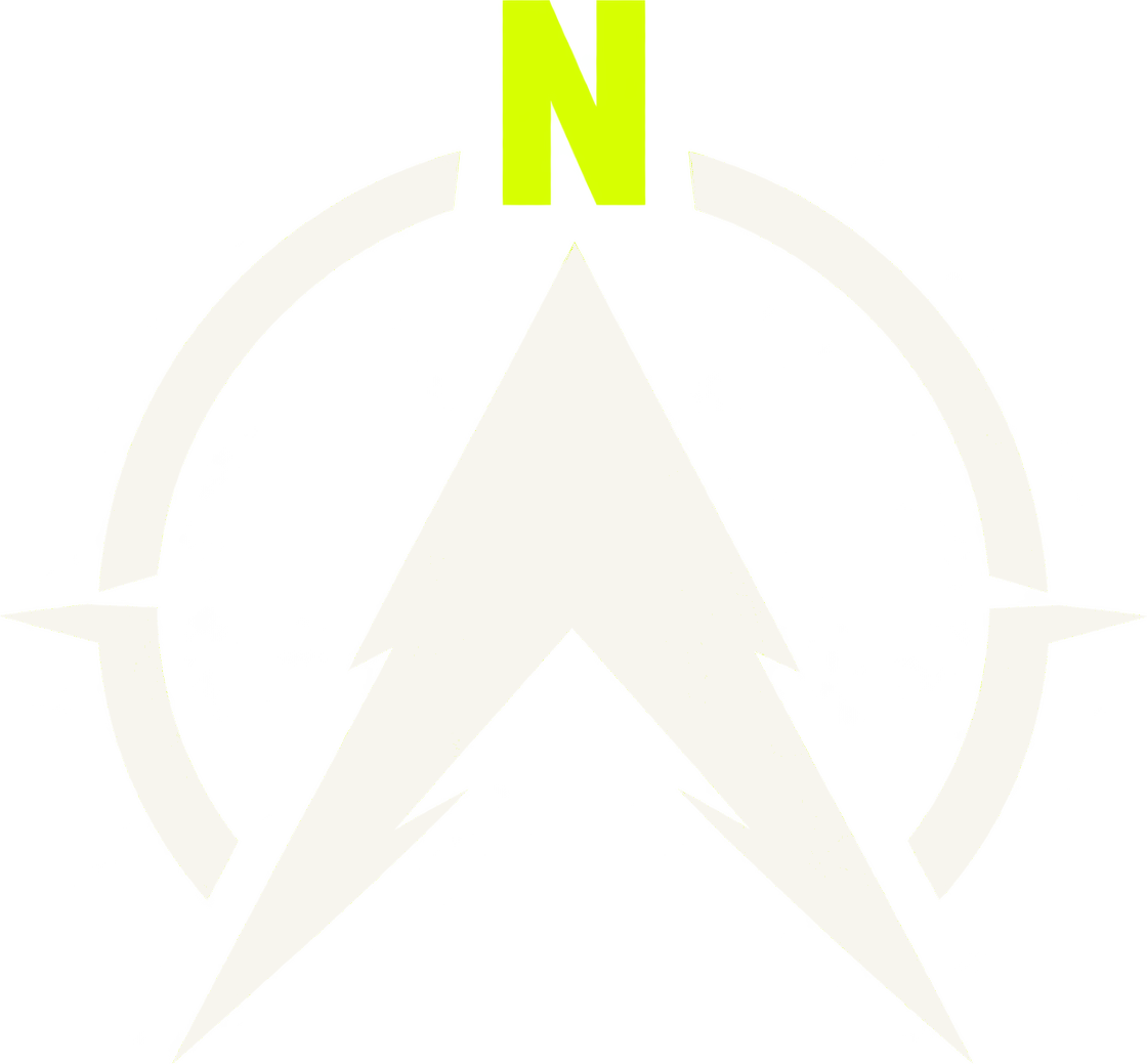True North Rally mark